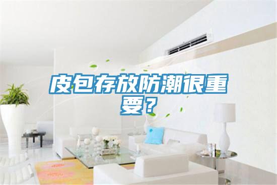 皮包存放防潮很重要？