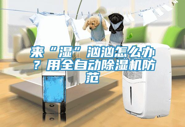來“濕”洶洶怎么辦？用全自動(dòng)除濕機(jī)防范