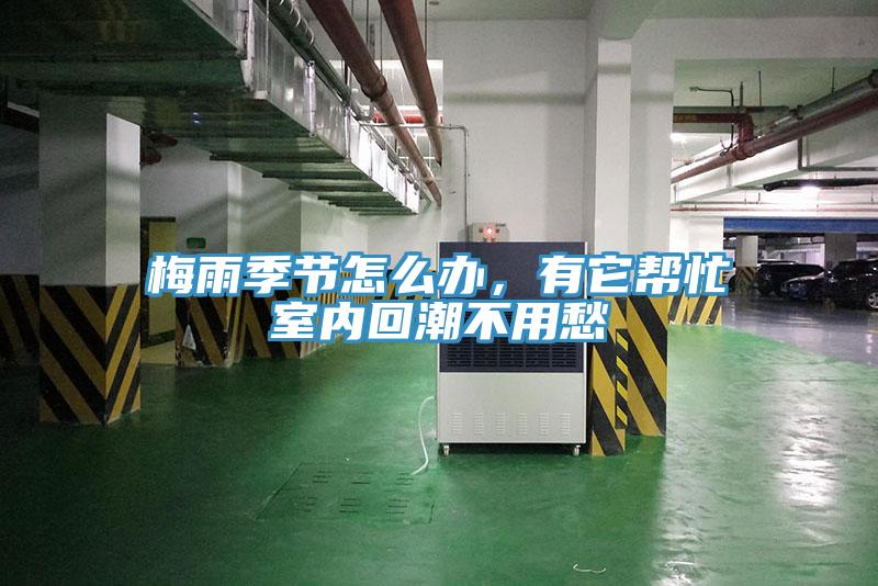 梅雨季節(jié)怎么辦，有它幫忙室內(nèi)回潮不用愁
