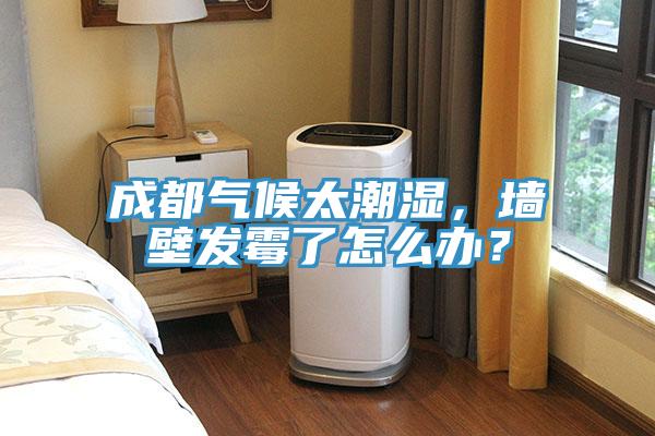 成都?xì)夂蛱睗?，墻壁發(fā)霉了怎么辦？