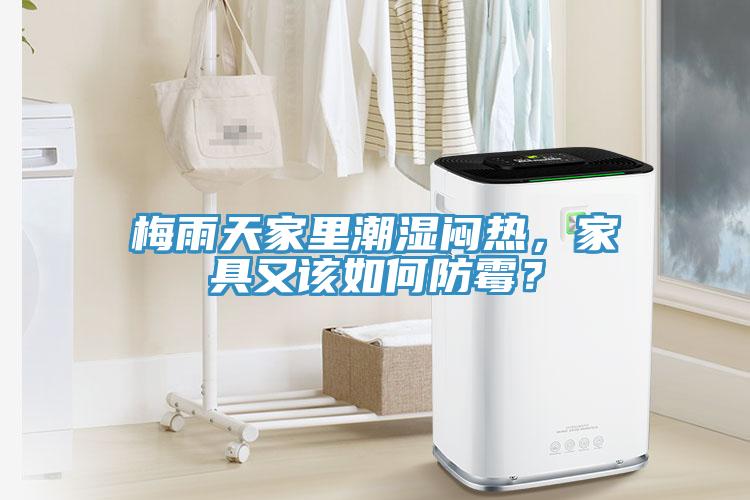 梅雨天家里潮濕悶熱，家具又該如何防霉？