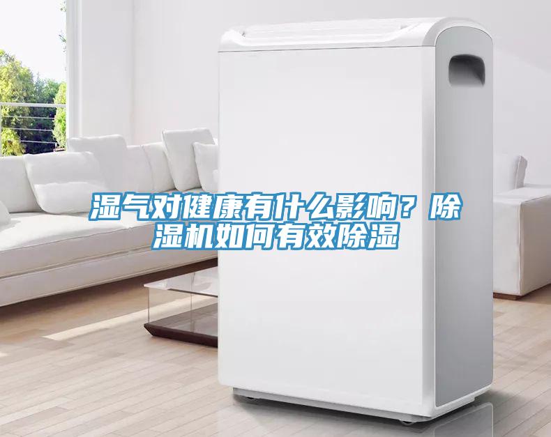 濕氣對(duì)健康有什么影響？除濕機(jī)如何有效除濕