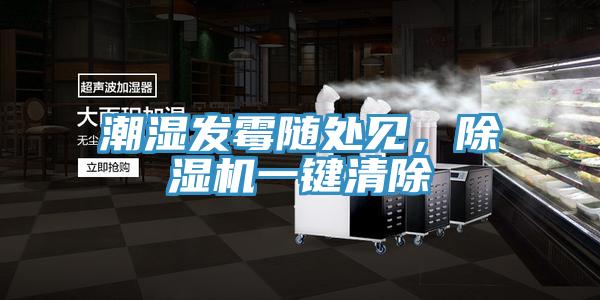 潮濕發(fā)霉隨處見，除濕機(jī)一鍵清除