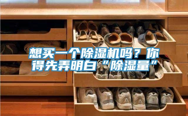 想買(mǎi)一個(gè)除濕機(jī)嗎？你得先弄明白“除濕量”