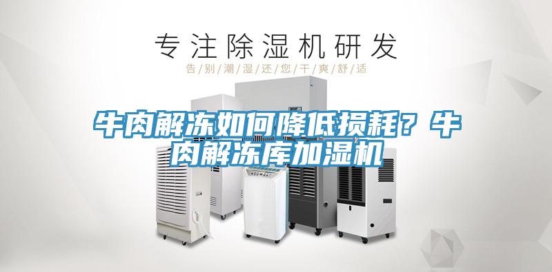 牛肉解凍如何降低損耗？牛肉解凍庫加濕機(jī)