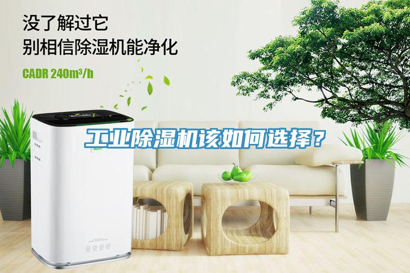 工業(yè)除濕機(jī)該如何選擇？