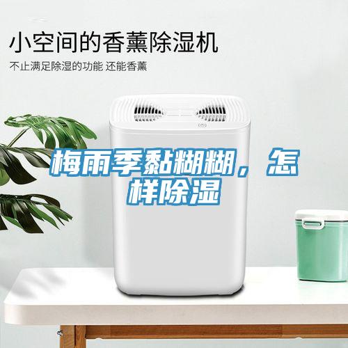 梅雨季黏糊糊，怎樣除濕
