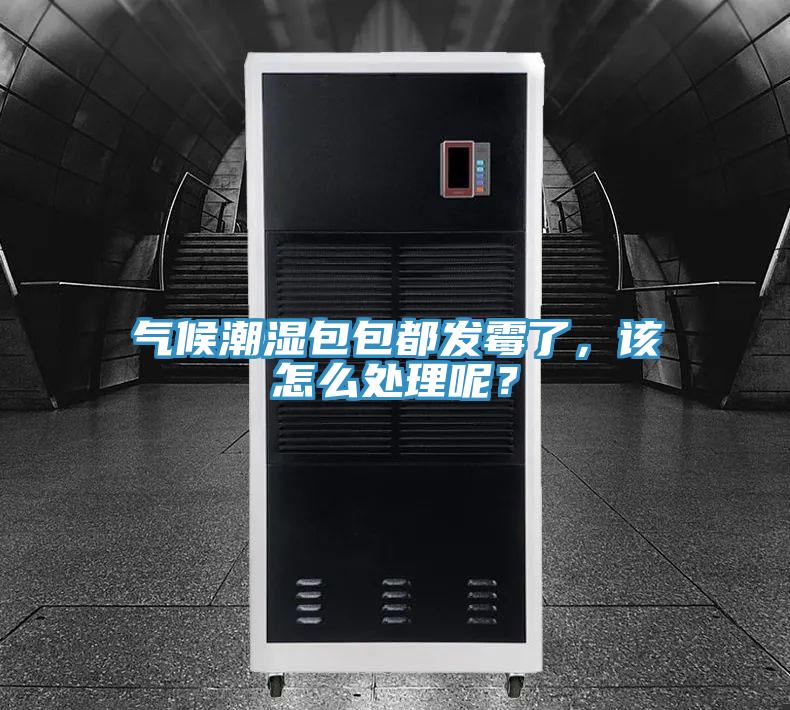 氣候潮濕包包都發(fā)霉了，該怎么處理呢？
