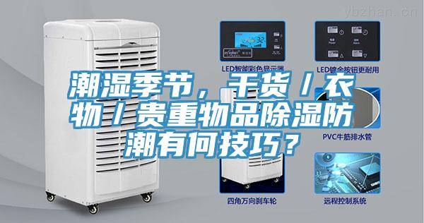 潮濕季節(jié)，干貨／衣物／貴重物品除濕防潮有何技巧？