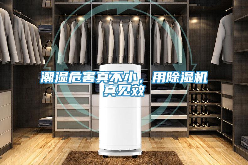 潮濕危害真不小，用除濕機(jī)真見效