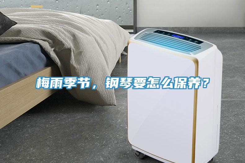 梅雨季節(jié)，鋼琴要怎么保養(yǎng)？