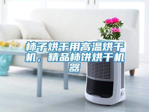 柿子烘干用高溫烘干機(jī)，精品柿餅烘干機(jī)器