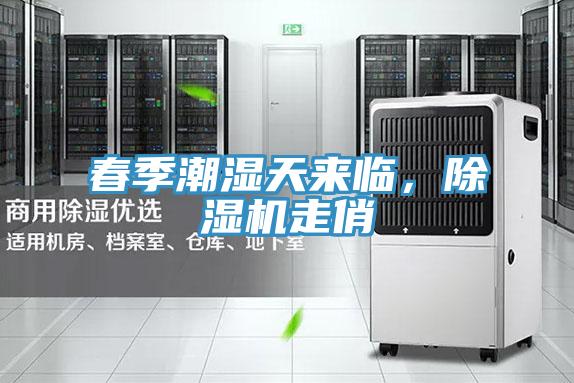 春季潮濕天來臨，除濕機走俏