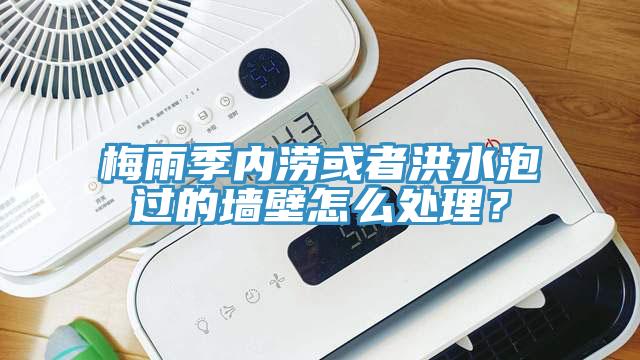 梅雨季內(nèi)澇或者洪水泡過(guò)的墻壁怎么處理？