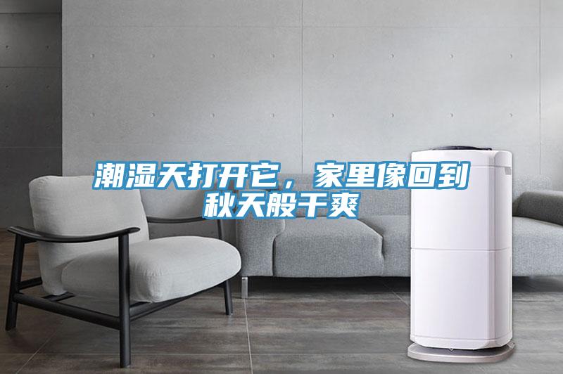 潮濕天打開它，家里像回到秋天般干爽