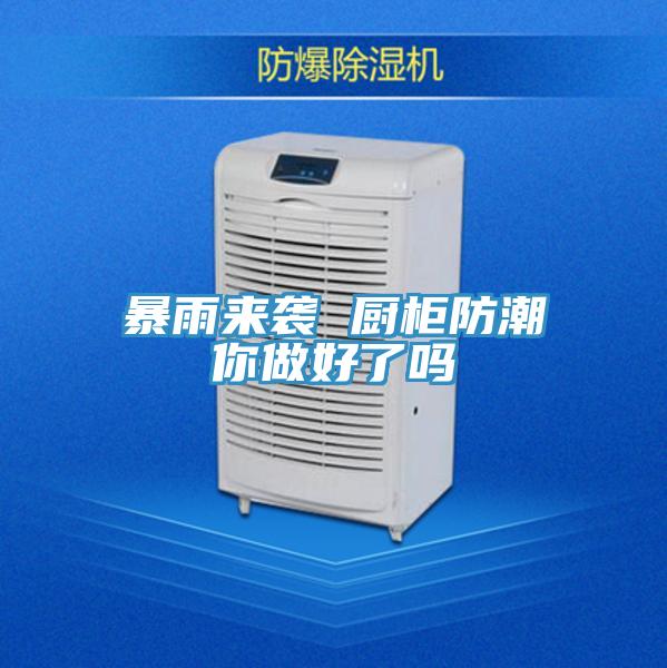 暴雨來(lái)襲 廚柜防潮你做好了嗎