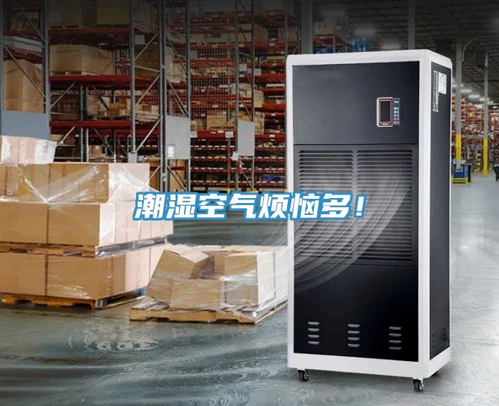 潮濕空氣煩惱多！