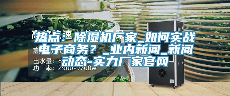 熱點：除濕機(jī)廠家_如何實戰(zhàn)電子商務(wù)？_業(yè)內(nèi)新聞_新聞動態(tài)-實力廠家官網(wǎng)
