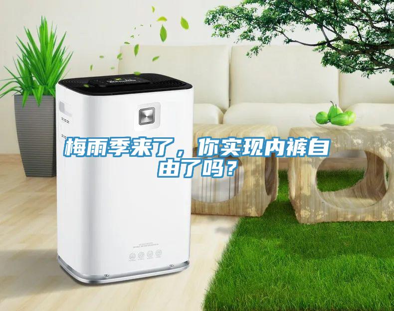 梅雨季來了，你實(shí)現(xiàn)內(nèi)褲自由了嗎？