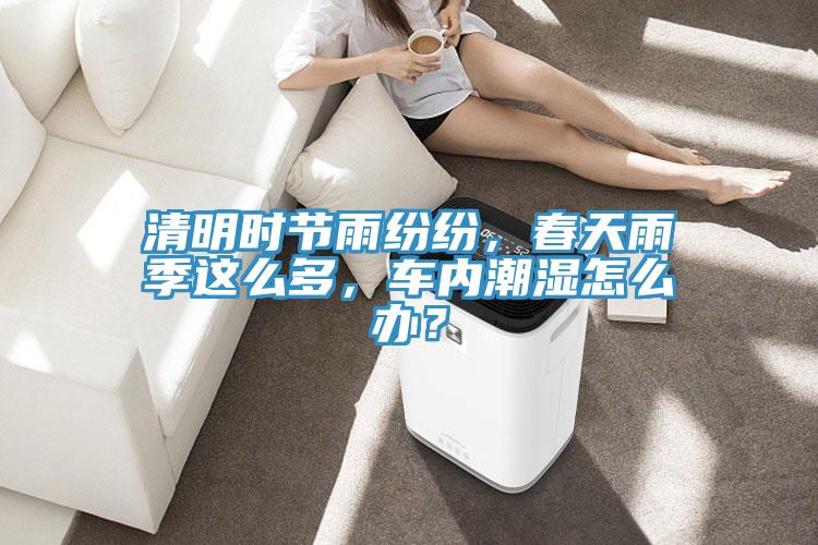 清明時節(jié)雨紛紛，春天雨季這么多，車內(nèi)潮濕怎么辦？
