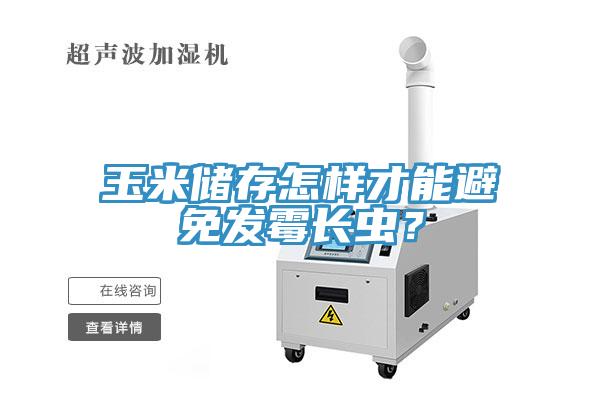 玉米儲存怎樣才能避免發(fā)霉長蟲？