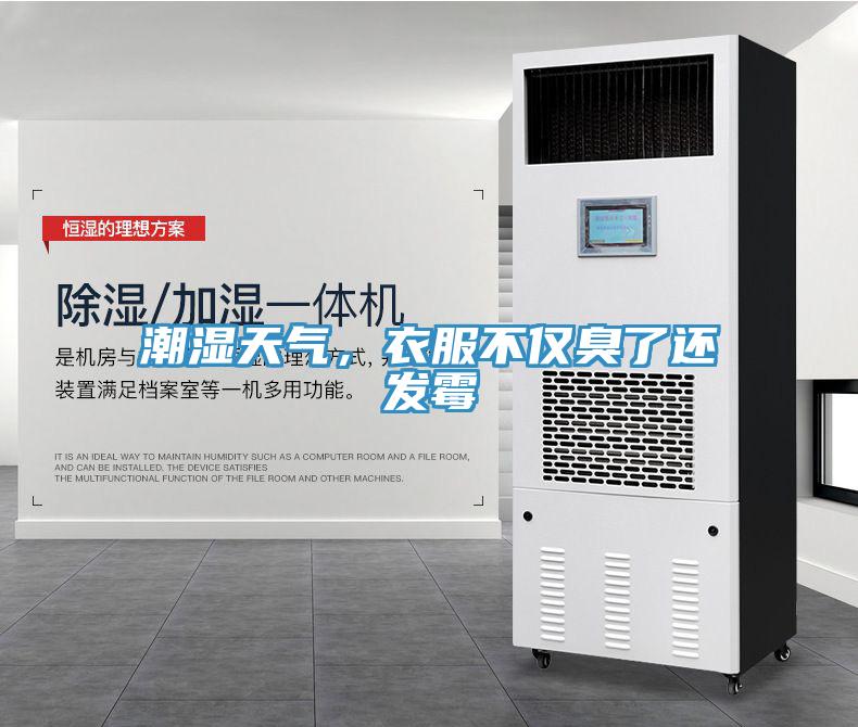 潮濕天氣，衣服不僅臭了還發(fā)霉