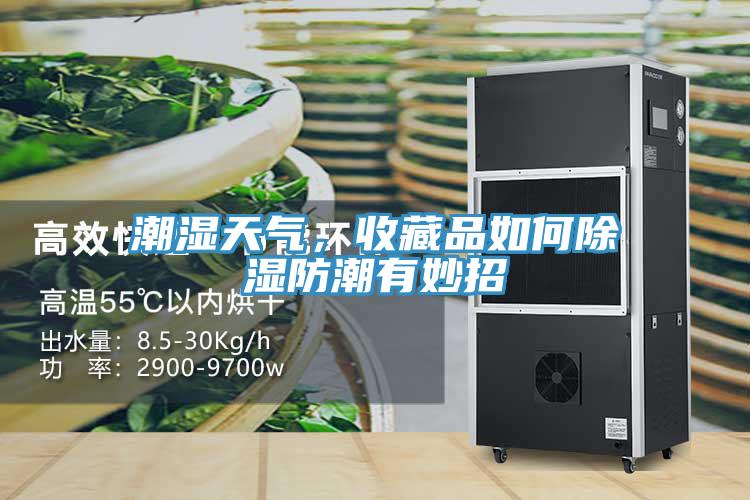 潮濕天氣，收藏品如何除濕防潮有妙招