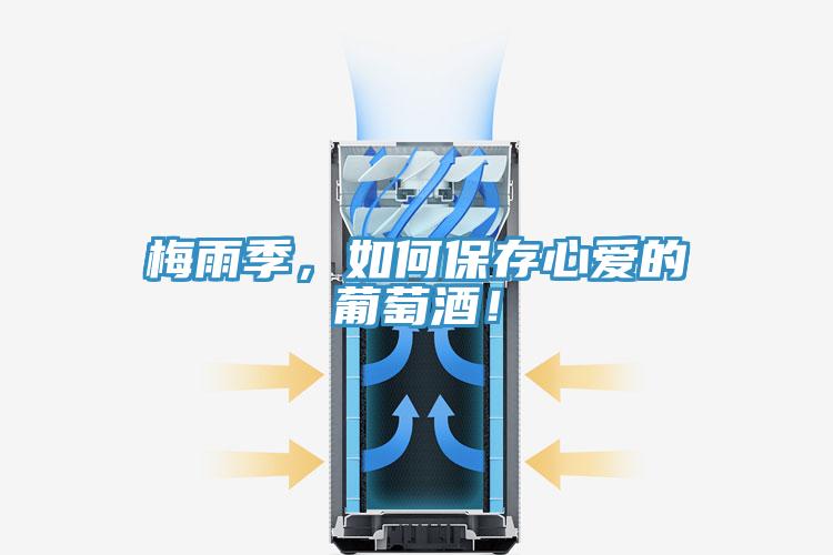 梅雨季，如何保存心愛的葡萄酒！