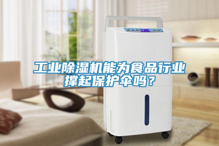 工業(yè)除濕機(jī)能為食品行業(yè)撐起保護(hù)傘嗎？