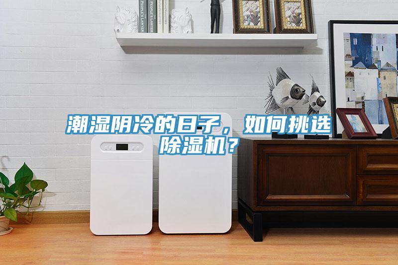 潮濕陰冷的日子，如何挑選除濕機(jī)？