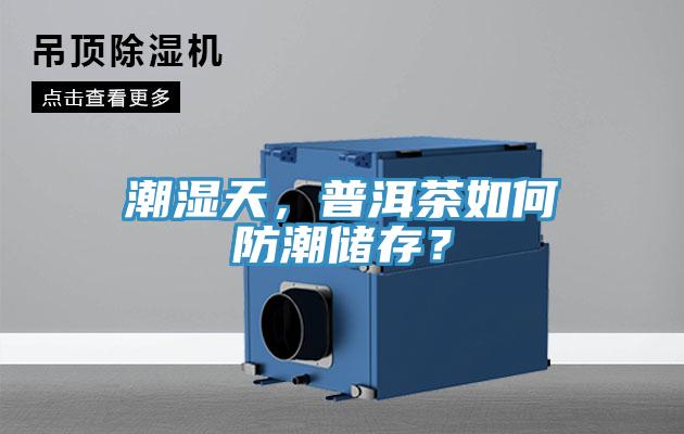潮濕天，普洱茶如何防潮儲(chǔ)存？