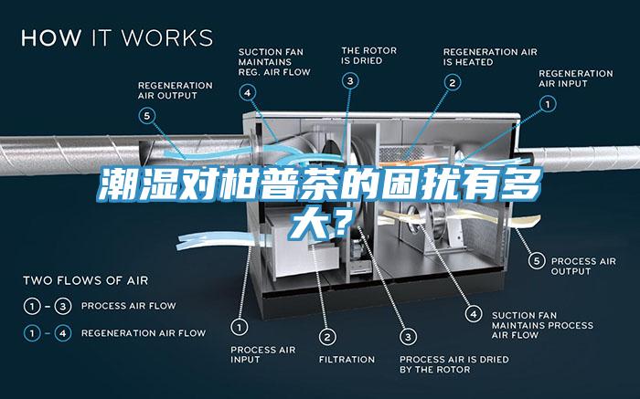 潮濕對柑普茶的困擾有多大？