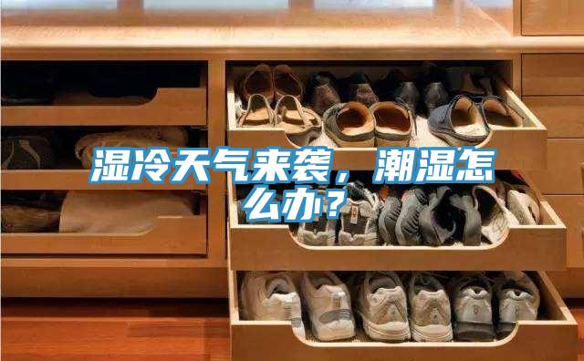濕冷天氣來襲，潮濕怎么辦？