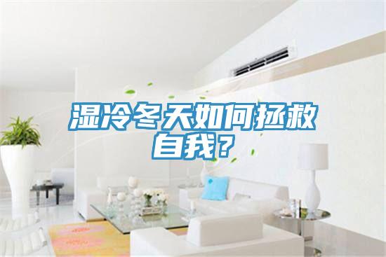 濕冷冬天如何拯救自我？