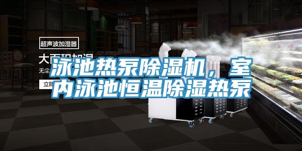 泳池?zé)岜贸凉駲C(jī)，室內(nèi)泳池恒溫除濕熱泵