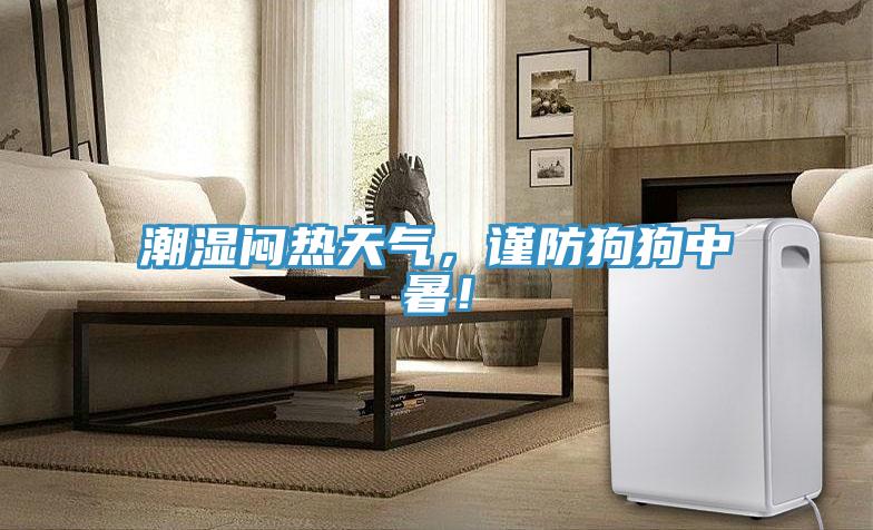 潮濕悶熱天氣，謹(jǐn)防狗狗中暑！