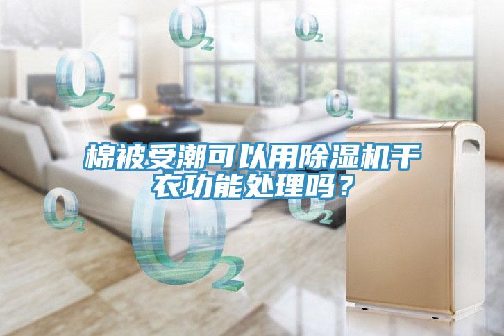 棉被受潮可以用除濕機干衣功能處理嗎？