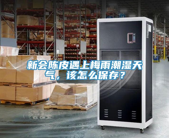 新會陳皮遇上梅雨潮濕天氣，該怎么保存？