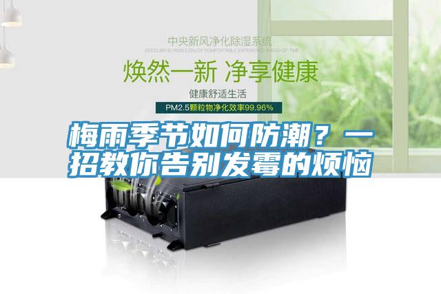 梅雨季節(jié)如何防潮？一招教你告別發(fā)霉的煩惱