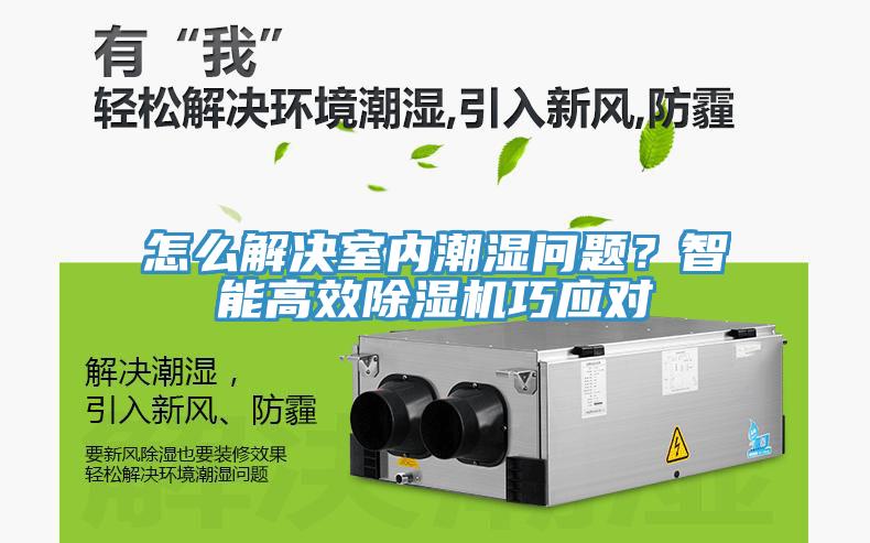 怎么解決室內(nèi)潮濕問(wèn)題？智能高效除濕機(jī)巧應(yīng)對(duì)