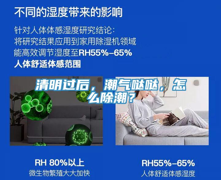 清明過后，潮氣噠噠，怎么除潮？