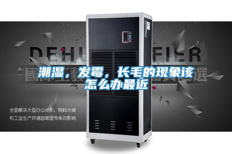 潮濕，發(fā)霉，長毛的現(xiàn)象該怎么辦最近