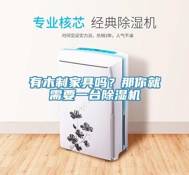 有木制家具嗎？那你就需要一臺(tái)除濕機(jī)