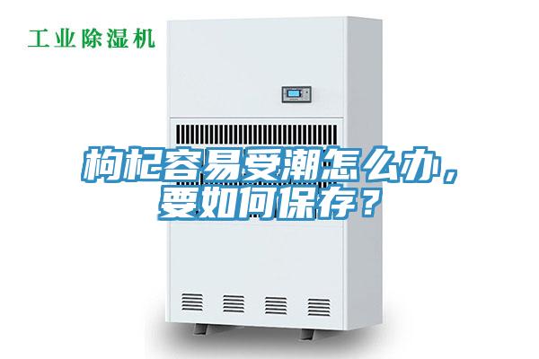 枸杞容易受潮怎么辦，要如何保存？