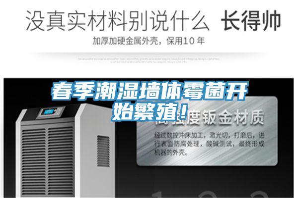 春季潮濕墻體霉菌開始繁殖！