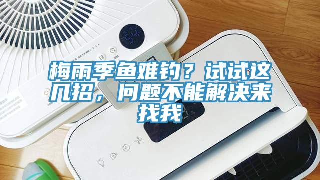 梅雨季魚(yú)難釣？試試這幾招，問(wèn)題不能解決來(lái)找我
