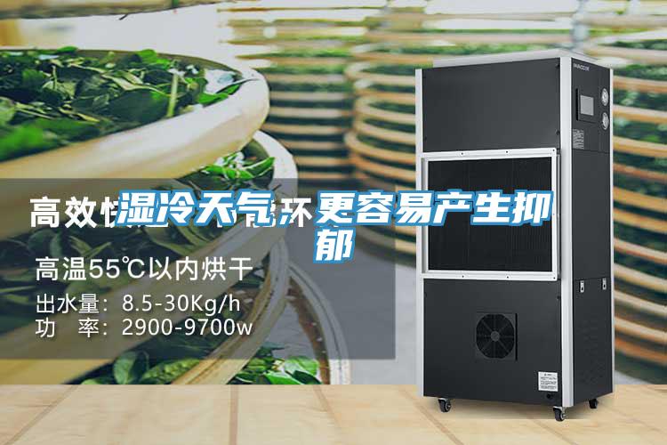 濕冷天氣，更容易產(chǎn)生抑郁