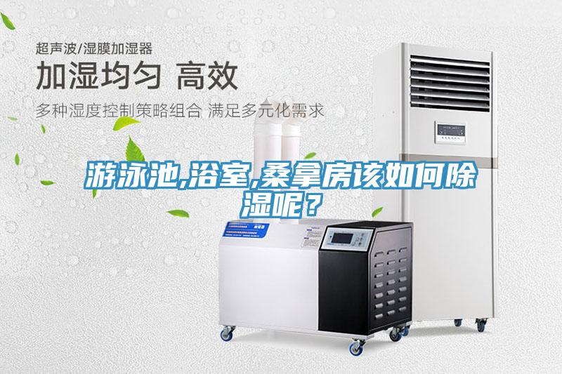 游泳池,浴室,桑拿房該如何除濕呢？