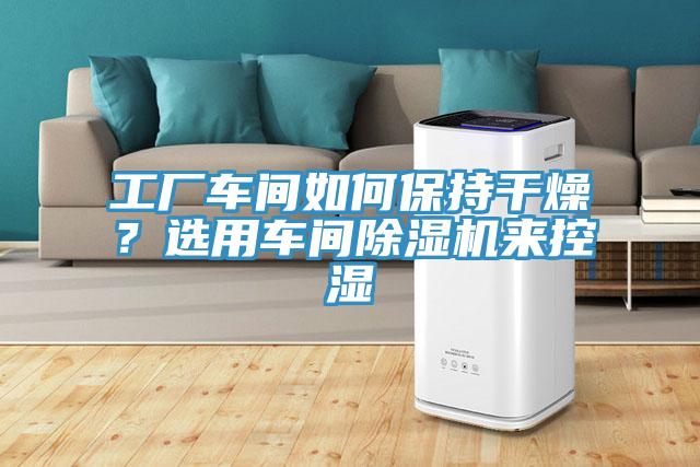 工廠車間如何保持干燥？選用車間除濕機來控濕