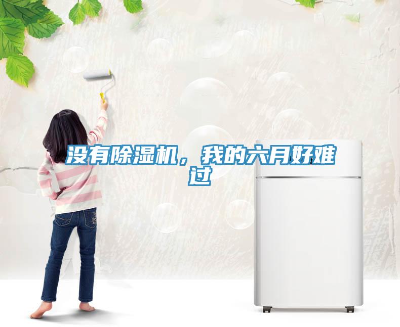 沒有除濕機(jī)，我的六月好難過